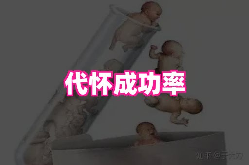 厦门助孕网站 2