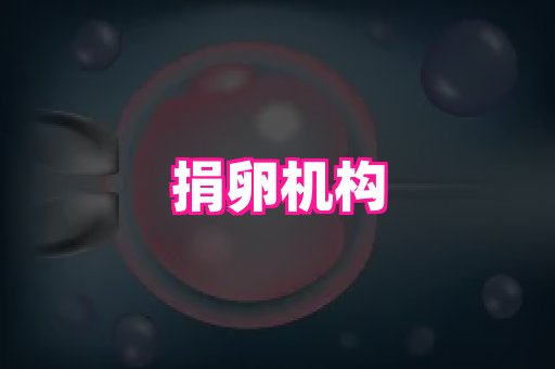厦门助孕网站 3