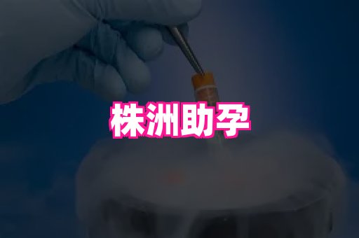 厦门助孕网站 4